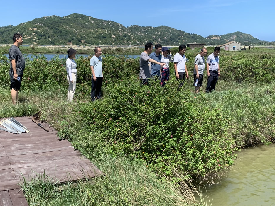 胡景杰教授莫照兰教授一行到万宁水产企业考察调研